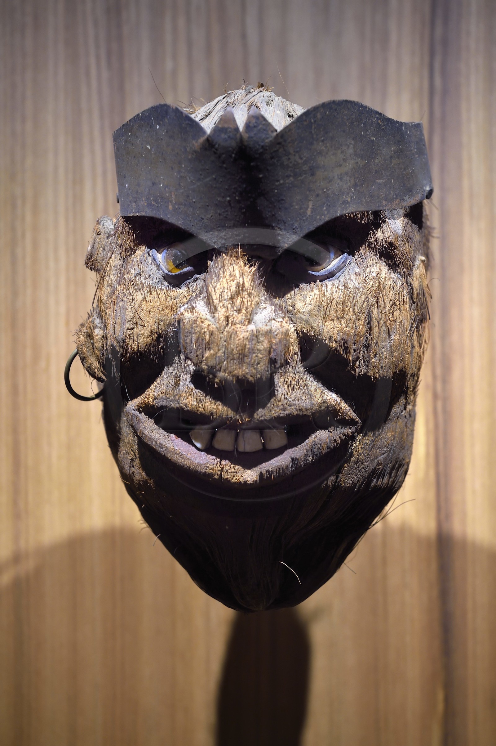 France, Var (83), Saint-Tropez, citadelle du XVIe siècle, musée d'Histoire maritime tropézienne, tête de marin sculptée dans une noix de coco (XIXème siècle)