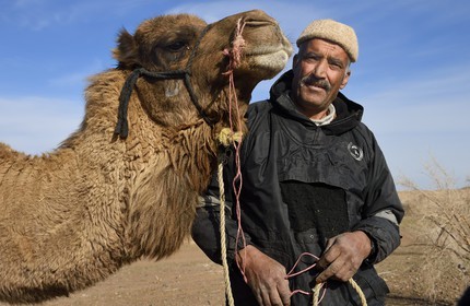Iran, Isfahan province, Dasht-e Kavir desert, Mesr in Khur and Biabanak County, camel owner Ali Saraban and one of his camels