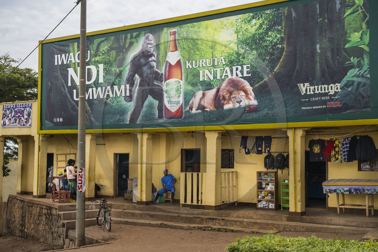 Rwanda, Province du Nord, Shyorongi, publicité pour la bière Virunga fabriquée au Rwanda mettant en scène un gorille