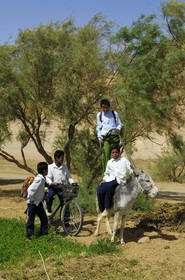 Egypte, désert libyque, oasis de Abu Mungar au nord de Farafra, retour d'école sur un ane