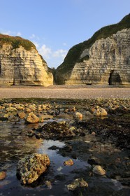 France, Seine-Maritime, Cote d'Albatre, Vattetot-sur-Mer, the valleuse of Etigue