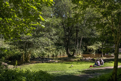 France, Nièvre (58), Parc naturel régional du Morvan, Gouloux, site du Saut de Gouloux et la rivière de la Cure