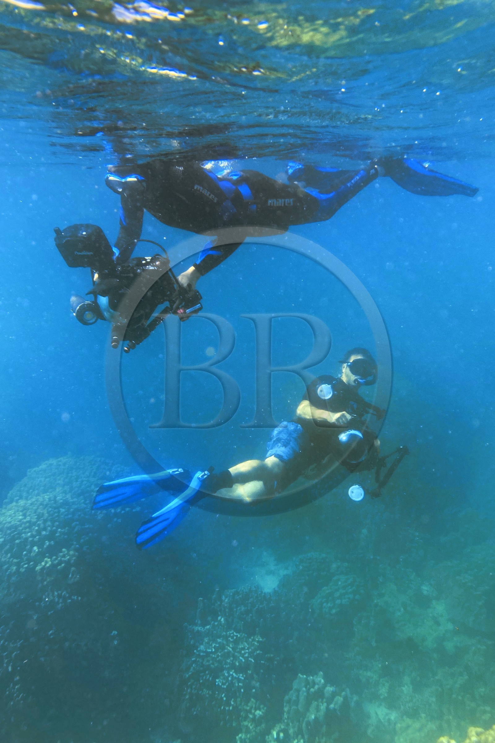 Sultanat d'Oman, gouvernorat de Mascate, réserve naturelle des Iles Daymaniyat, la photographe-plongeuse Maïsa Al-Hoot avec le plongeur photographe et réalisateur de films Darryl MacDonald Sultanat d'Oman, gouvernorat de Mascate, réserve naturelle des Iles Daymaniyat, la photographe-plongeuse Maïsa Al-Hoot avec le plongeur photographe et réalisateur de films Darryl MacDonald