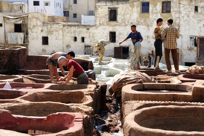 Maroc, Moyen Atlas, Fès, ville impériale, médina classée Patrimoine Mondial de l'UNESCO, Fès el Bali, quartier des tanneurs, Chouara
