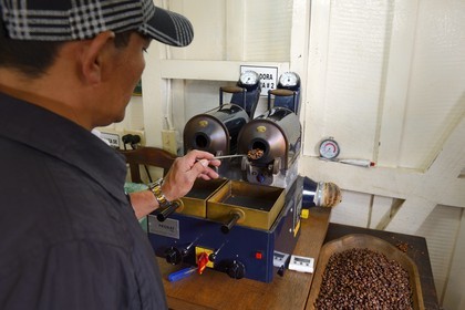 Panama, Chiriqui province, Boquete, Coffee Plantation Finca Lerida, roasting coffee beans