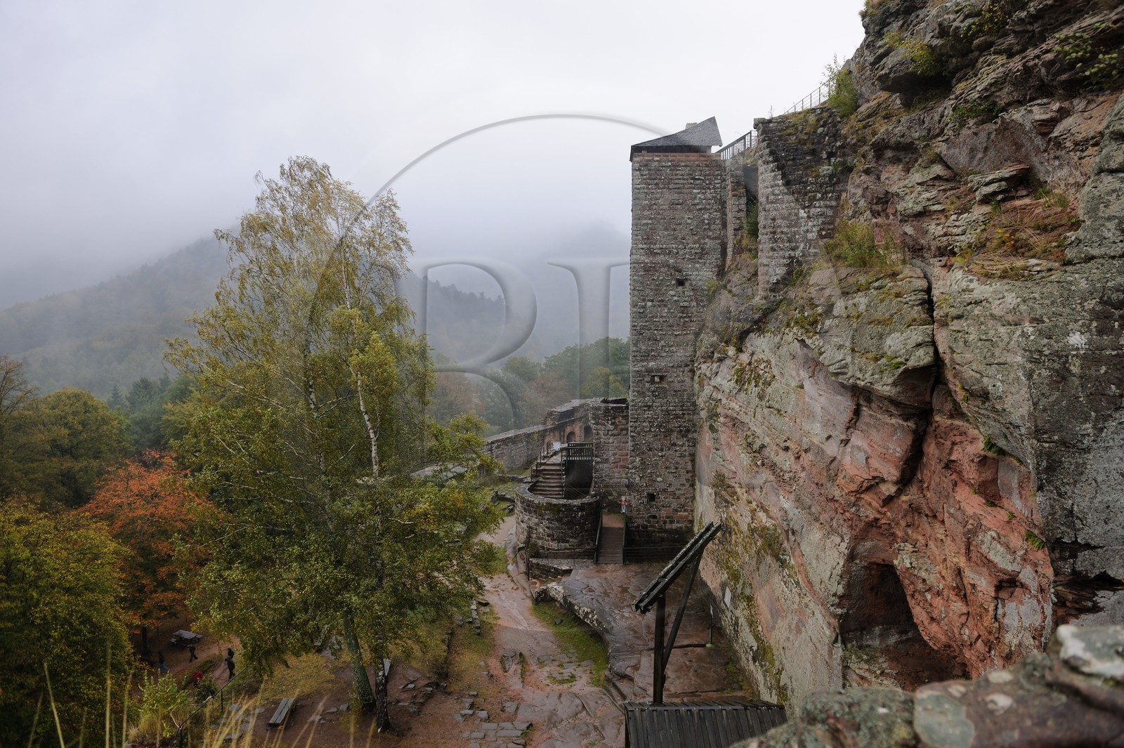 France, Bas-Rhin (67), château de Fleckenstein
