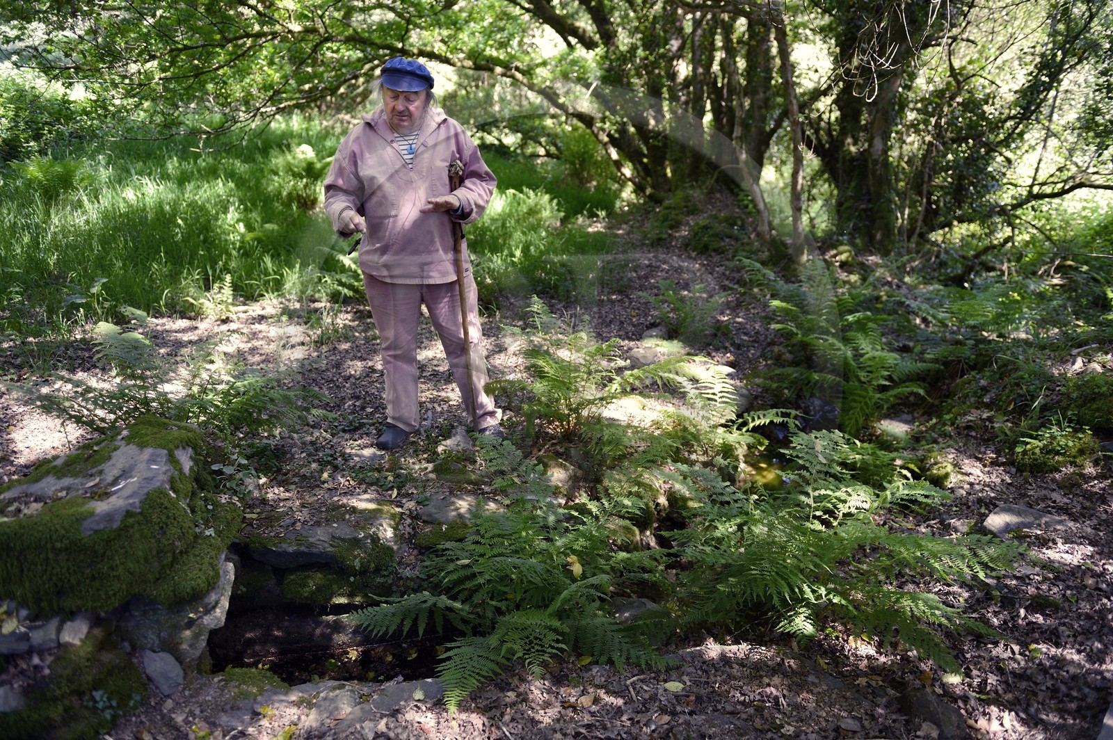 France, Finistère (29), parc naturel régional d'Armorique, Monts d'Arrée, Brasparts, le conteur Claude Le Lann explique la mythologie locale, les phénomènes energétiques et la puissance tellurique de certains sites, comme ici devant une source druidique