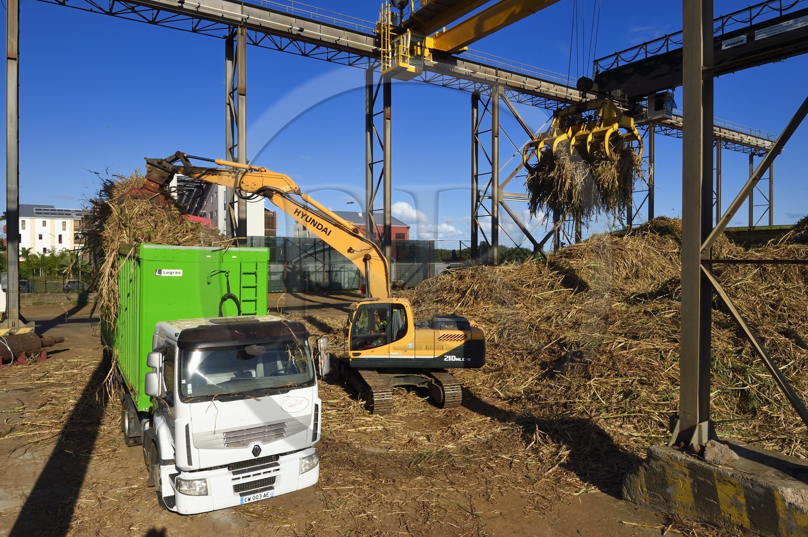 France, Ile de la Reunion, Saint-Pierre, Grands Bois, un des 11 centres de réception et de collecte de la canne à sucre aussi appelés Balance, les tracteurs amènent depuis les champs la canne dans des remorques, elle est ensuite pesée et chargée dans de grands camions appelés cachalots pour être acheminée vers l'usine sucrière du Gol