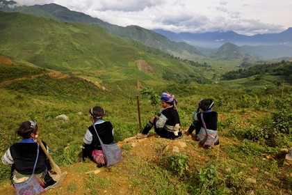 Vietnam, province de Lao Cai, région de Nord-Ouest de Sapa, paysans de la minorité Hmong Bleu