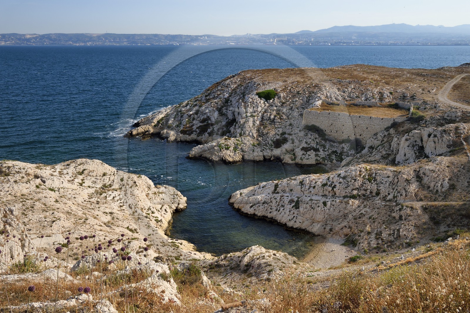 France, Bouches-du-Rhône (13), Marseille, Parc National des Calanques, Archipel des Iles du Frioul, Ile Ratonneau, calanque de l'Eoube