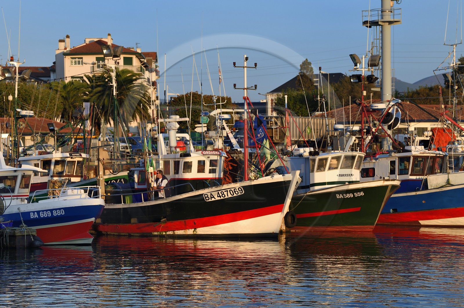France, Pyrénées-Atlantiques (64), Pays-Basque, Saint-Jean-de-Luz, le port de pêche