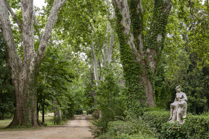 France, Bouches-du-Rhône (13), Aix en Provence, Bastide du Jas de Bouffan, ancienne demeure de Paul Cezanne de 1859 à 1899, l'allée des chataigniers peinte par Cézanne