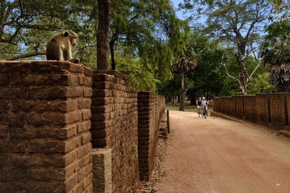 Sri Lanka, province du Centre-Nord, Polonnaruwa, promenade à bicyclette