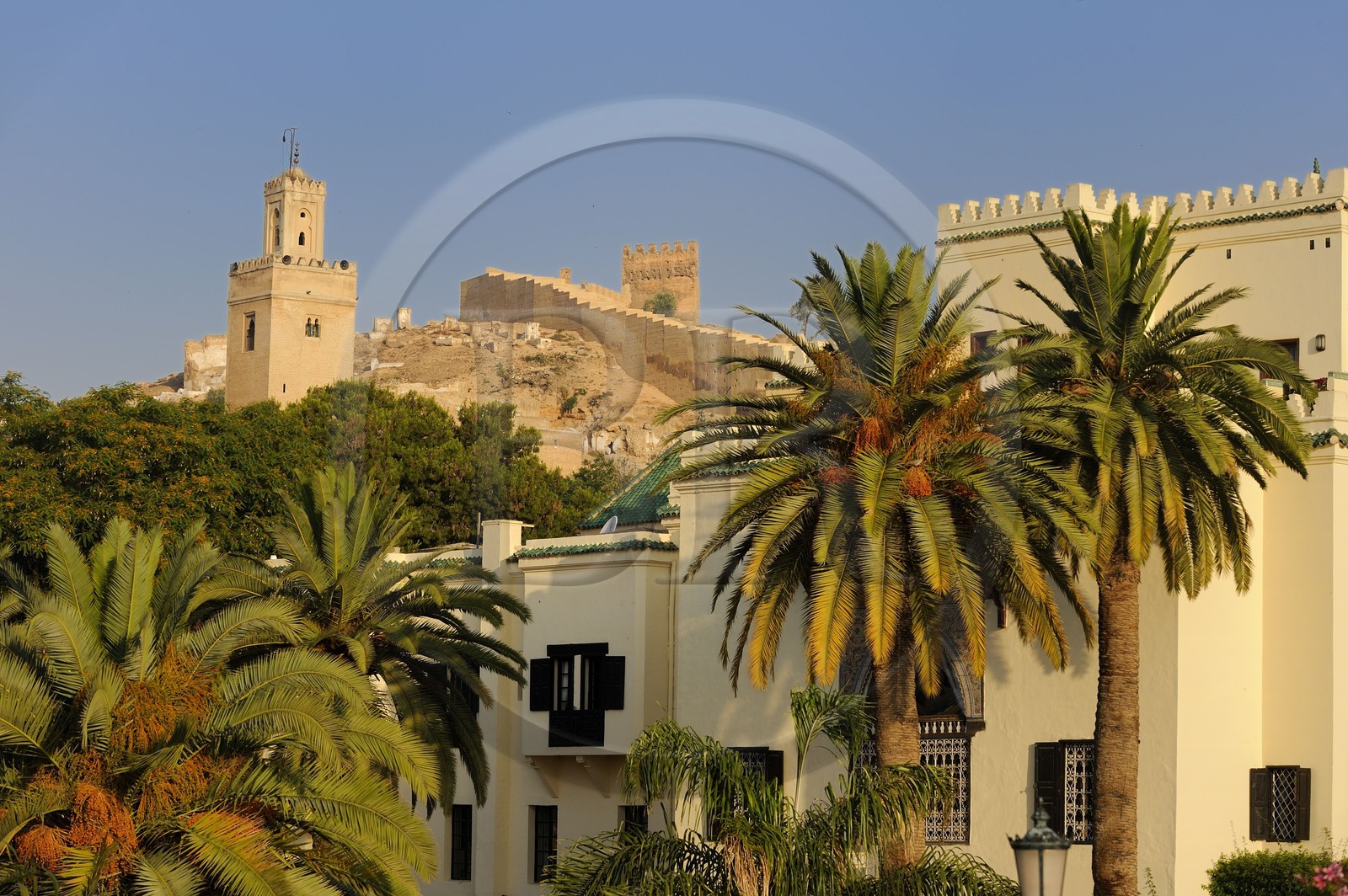 Morocco, Middle Atlas, Fez, Imperial City, Sofitel Palais Jamai Hotel under the minaret of Bab Guissa Mosque and city walls