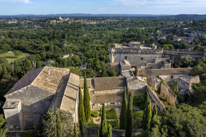 France (30), Gard, Villeneuve-lès-Avignon, l'ancienne abbaye bénédictine et Fort Saint André, le Palais des Papes  à Avignon classé Patrimoine mondial de l'UNESCO et le massif montagneux des Alpilles en arrière plan (vue aérienne)