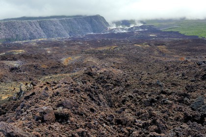France, île de la Réunion, volcan du Piton de la Fournaise, classé Patrimoine Mondial de l'UNESCO, le Grand-Brûlé, coulée de lave récente