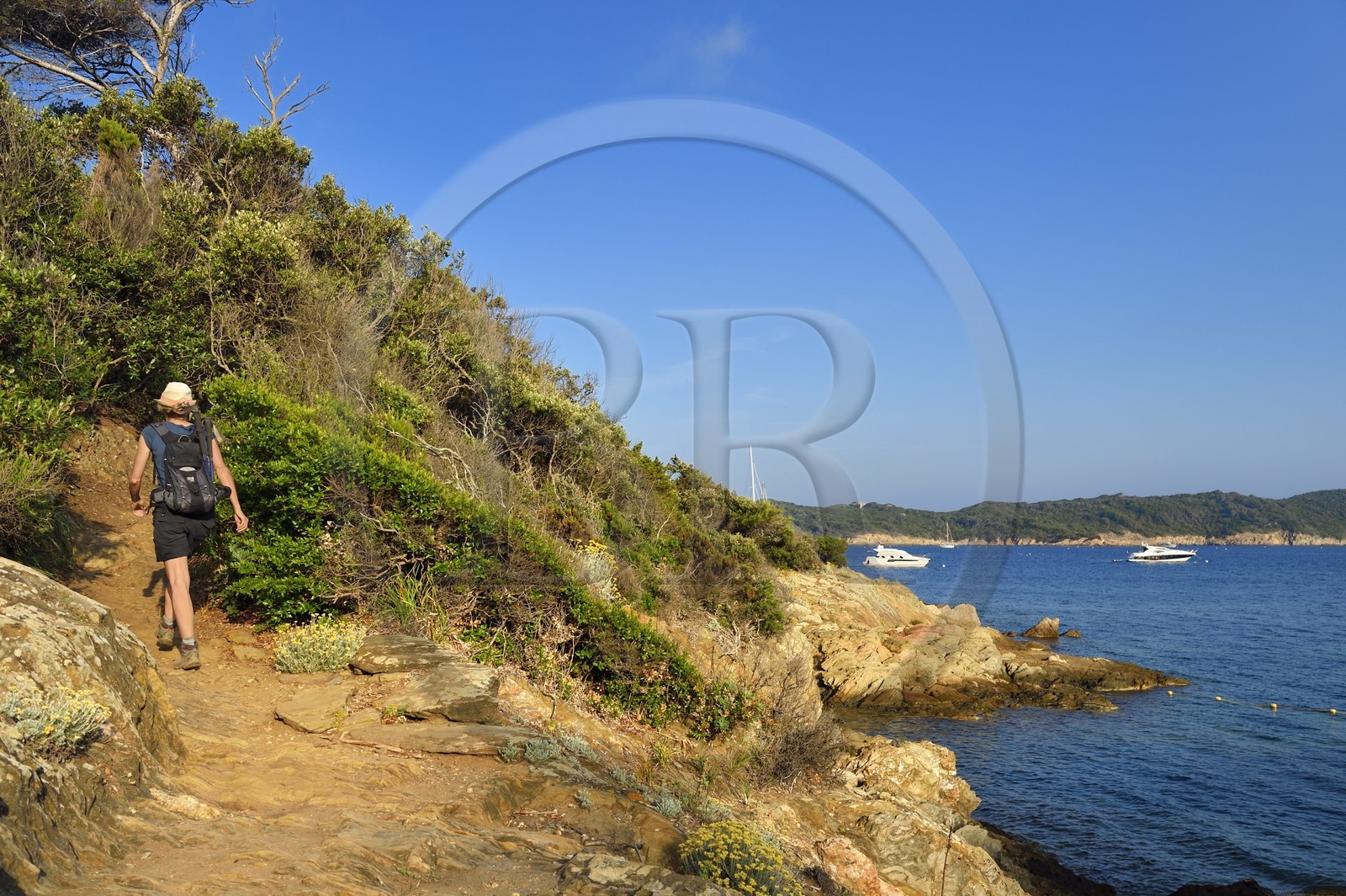 France, Var (83), Iles d'Hyères, parc national de Port Cros, Ile de Port-Cros, randonneuse dans une crique faisant face à l'Ile de Bagaud qui est une réserve intégrale