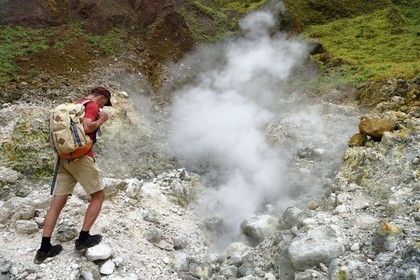 Caribbean, Dominica Island, Castle Bruce, Morne Trois Pitons National Park listed as World heritage by UNESCO, Valley of Desolation with fumaroles and hot springs, hike on the trail to Boiling Lake