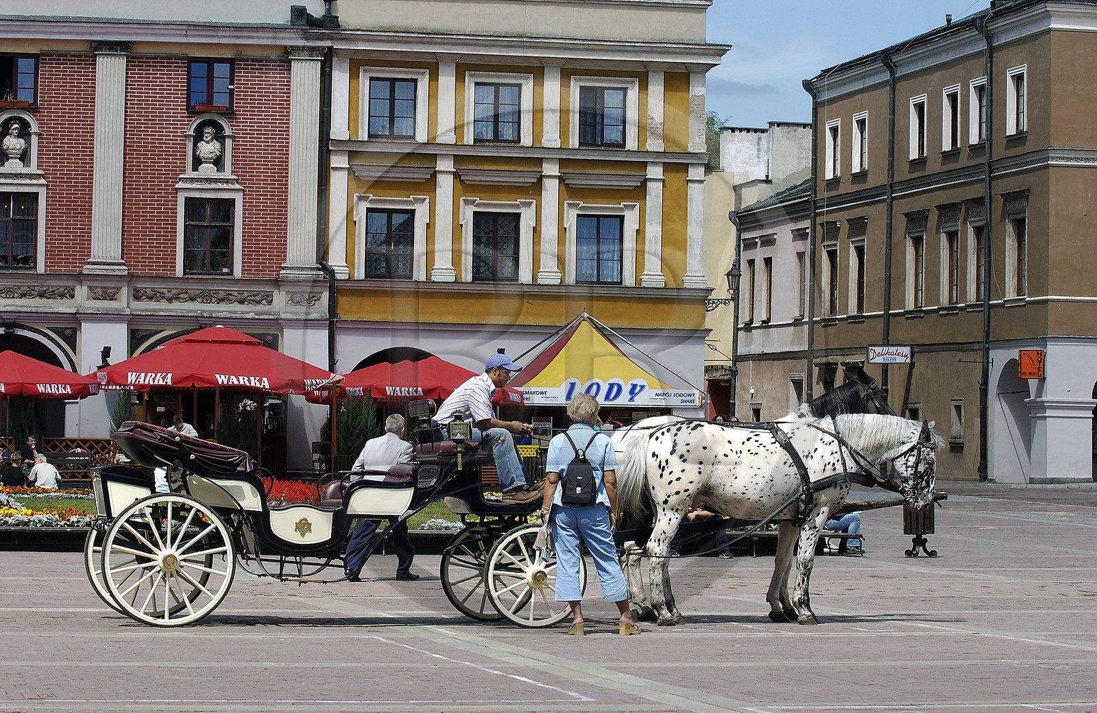 Pologne, région de Lublin, ville Renaissance de Zamosc classé Patrimoine Mondial de l' UNESCO, promenade en calèche sur la place du marché