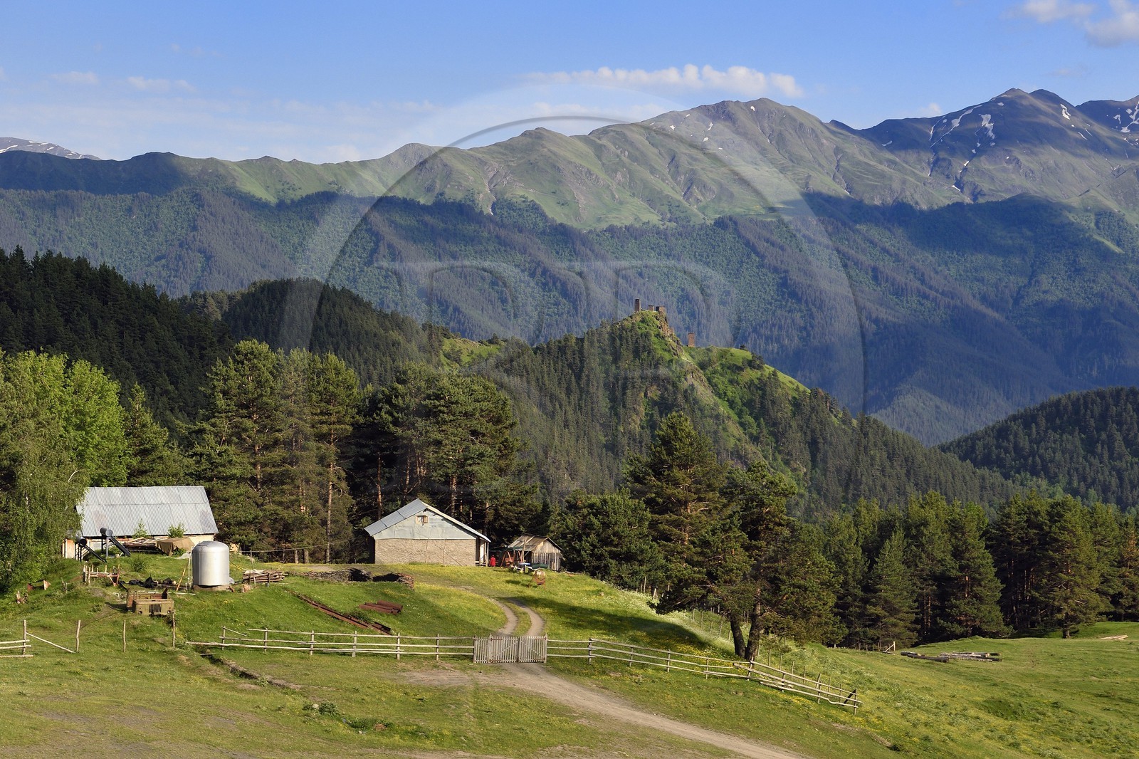 Géorgie, Kakheti, Parc national de Touchétie, Omalo, ferme et les tours de la forteresse de Keselo de Zemo (haut) Omalo en arrière plan