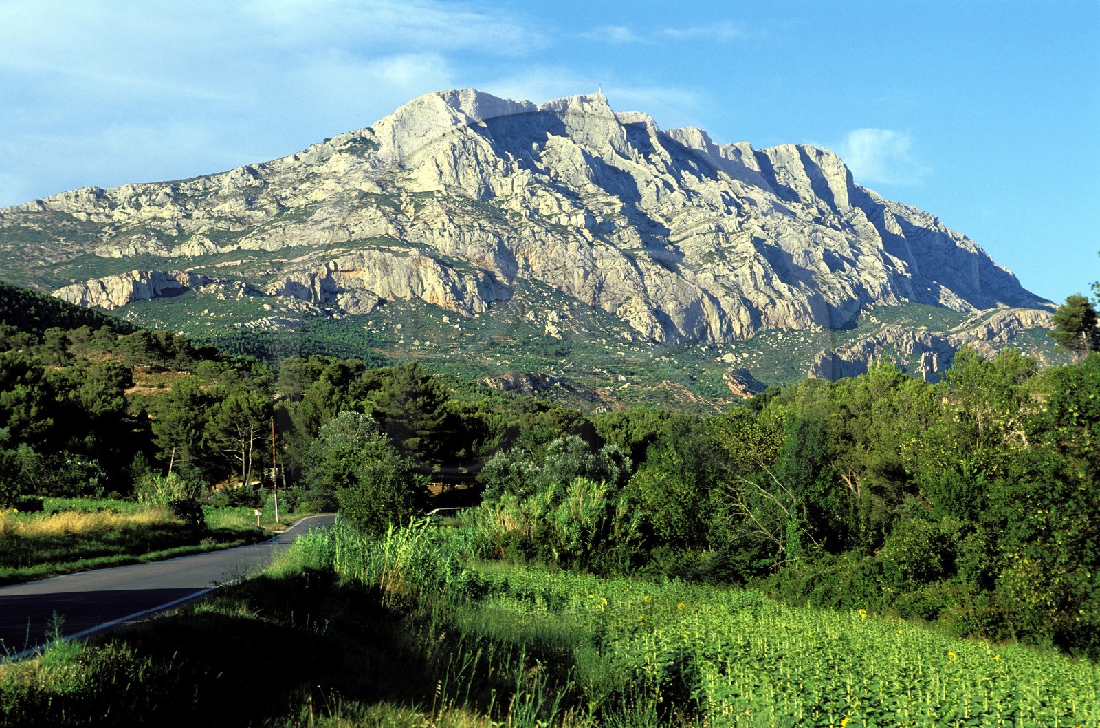 France, Bouches-du-Rhône (13), la montagne Sainte-Victoire