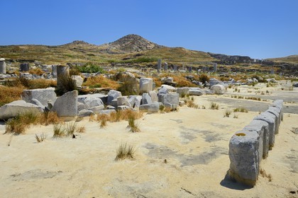 Grèce, île de Delos, classée Patrimoine Mondial de l'UNESCO, site archéologique de Délos, sanctuaire d'Apollon, la plus grande cité antique de la mer Egée, vestiges du quartier du port