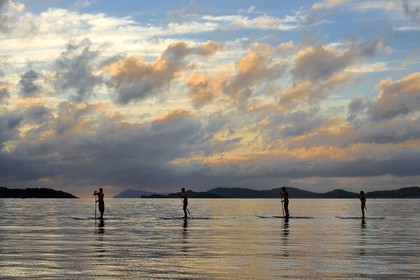 France, Var (83), Iles d'Hyères, parc national de Port Cros, Ile de Porquerolles, stand-up paddle au large de la plage de la Courtade guidés par Alexandre Bernd