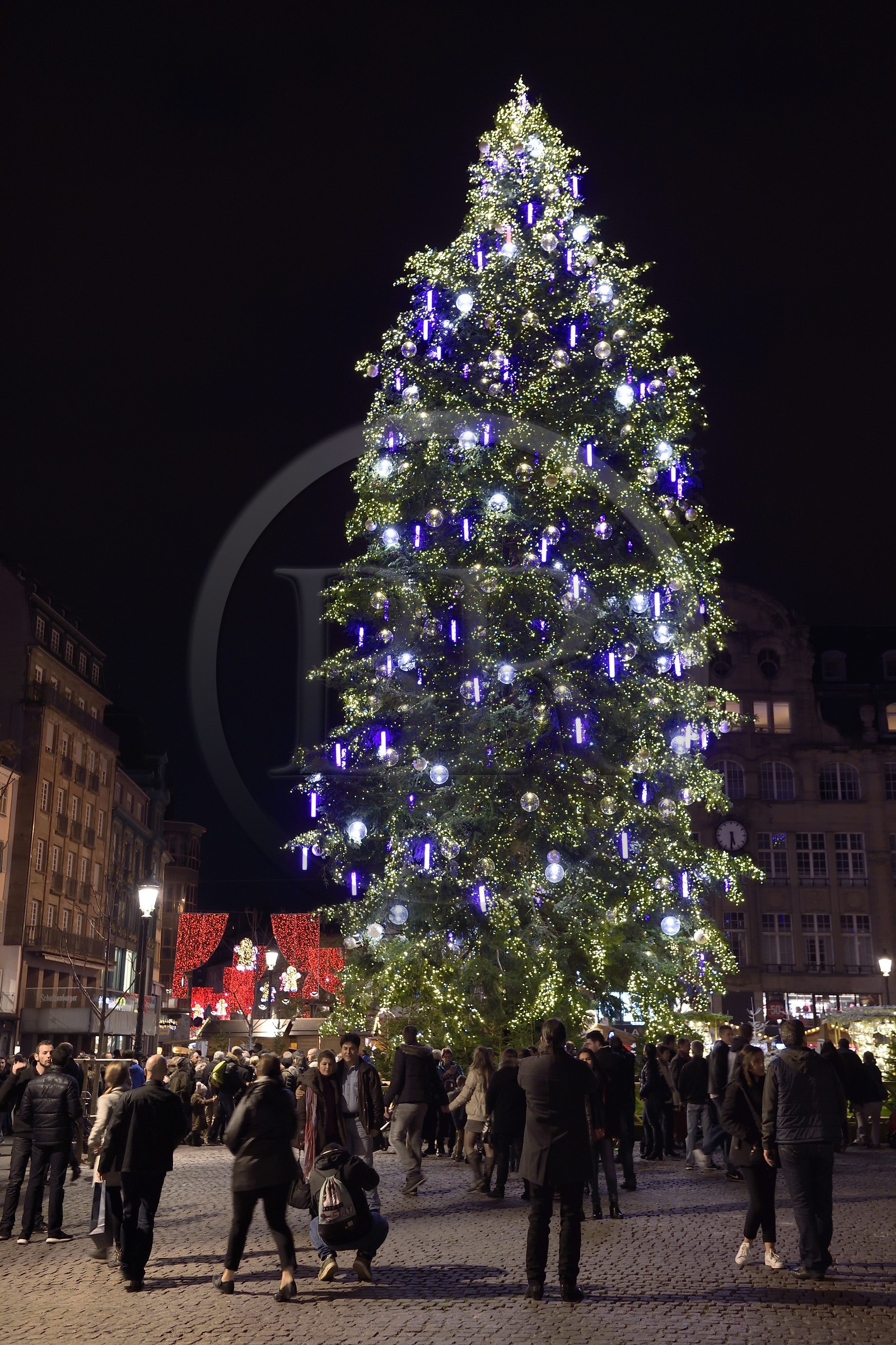 France, Bas-Rhin (67), Strasbourg, vieille ville classée Patrimoine Mondial de l'UNESCO, le Grand Sapin de Noël de la place Kléber