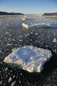 Groenland, cote ouest, baie de Disko, icebergs dans la baie de Quervain, le glacier Kangilerngata sermia voisin du glacier Eqip Sermia (glacier Eqi) en arrière plan