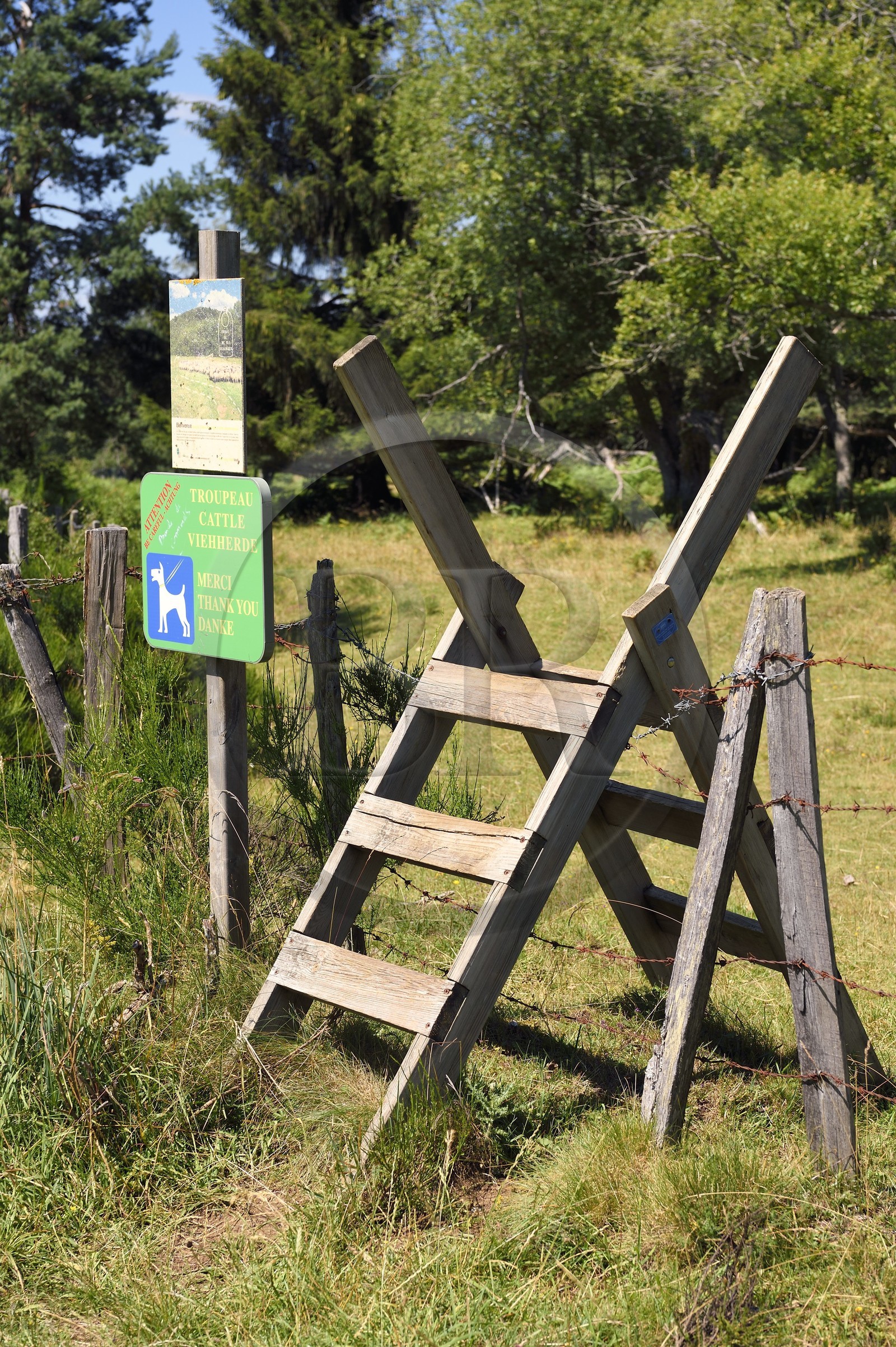 France, Puy-de-Dôme (63), Parc Naturel Régional des Volcans d'Auvergne, Chaine des Puys classée Patrimoine Mondial de l’UNESCO, passage canadien de franchissement des clotures par les piétons