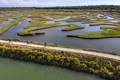 France, Vendée (85), Talmont Saint Hilaire, Guittière marshes in the hinterland of Pointe du Payré, Passage du Cul d’Ane, marshes developed for fish farming of sea bream, mullet and eels (aerial view)