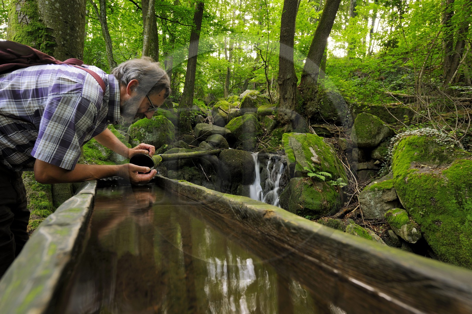 Allemagne, Forêt Noire, Schwartzwald, Bade-Würtemberg, Sasbachwalden, succession de petites cascades dans un sous-bois menant au sommet du Bischenberg