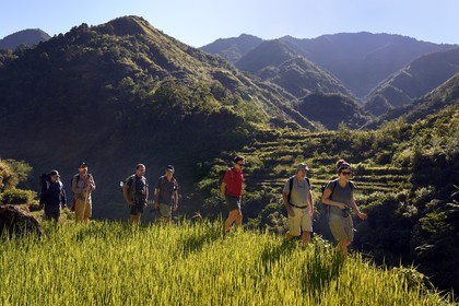 Philippines, province d'Ifugao, randonnée dans les rizières en terrasses de Banaue autour du village de Cambulo, classées Patrimoine Mondial de l'UNESCO