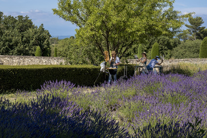 France, Bouches du Rhone, Regional Natural Park of the Alpilles, Saint Remy de Provence, Saint-Paul-de-Mausole monastery, where Van Gogh was interned in 1889-1890, amateur painters who set up their easels in the garden