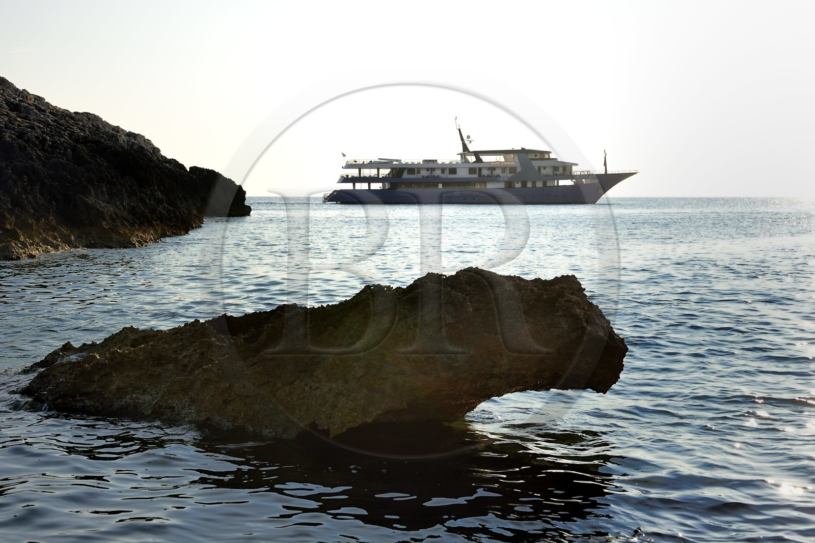 Croatie, Dalmatie, cote dalmate, Ile de Bisevo,