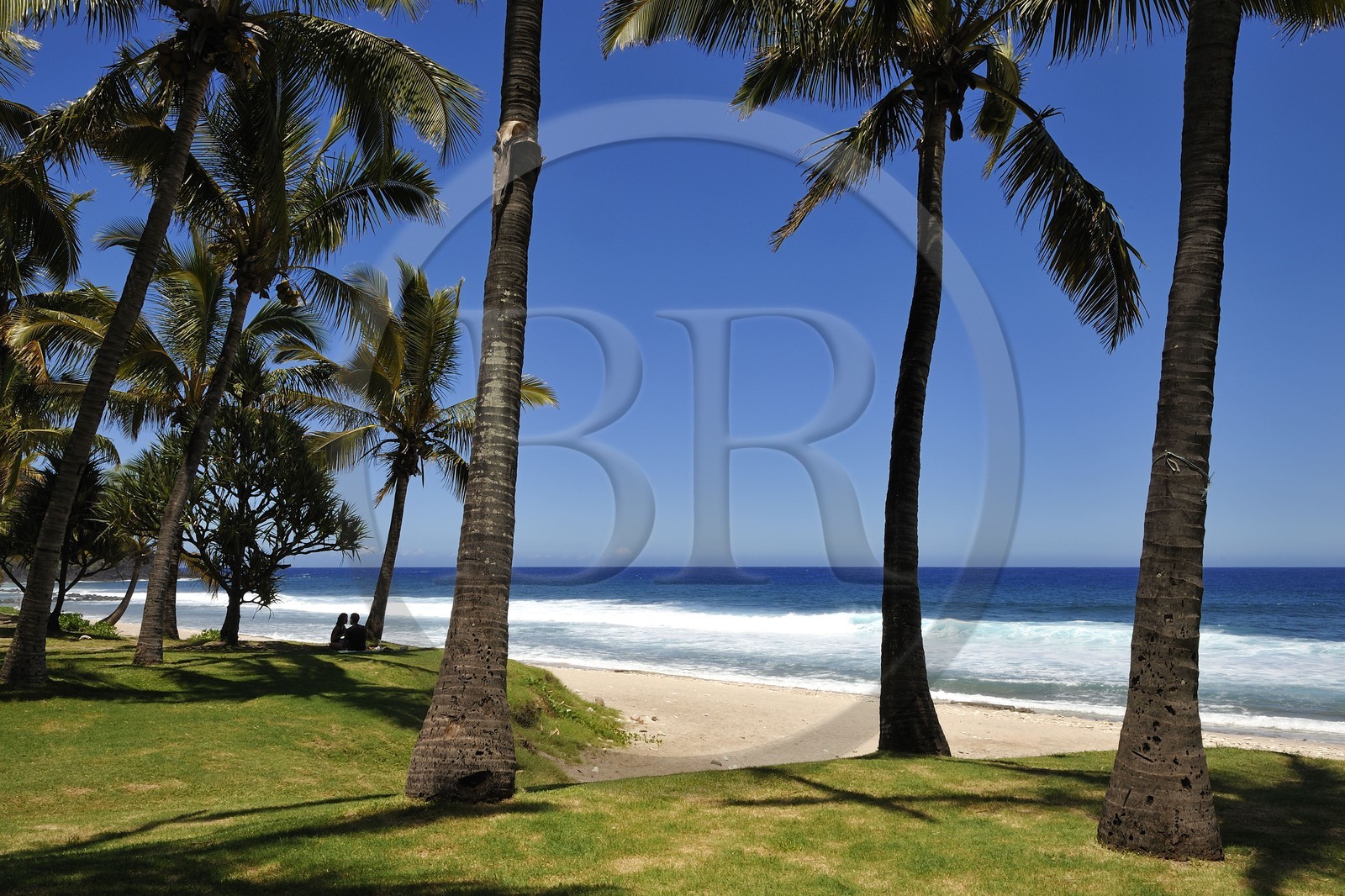 France, île de la Réunion, la côte sud, plage de Grand-Anse