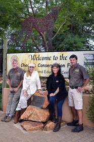 Namibie, Otjiwarongo, Cheetah Conservation Fund, centre de recherche et d'éducation, Dr Laurie Marker fondatrice et directrice exécutive du CCF fondé en 1990 à droite en compagnie de la princesse Michael de Kent Marie-Christine von Reibnitz à gauche