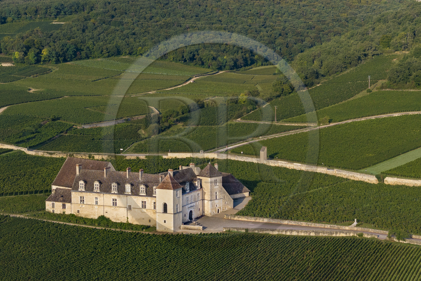 France, Cote d'Or, cultural Landscape of the climates of Burgundy listed as World Heritage by UNESCO, Route des Grands Crus (road of Vintage Wines), vineyard of the Côte de Nuits, Vougeot, the Chateau of Clos de Vougeot surrounded by vineyards (aerial view)
