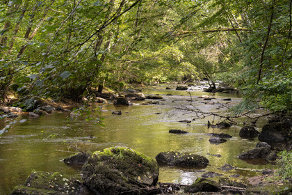 France, Yonne (89), vallée de la rivière Cousin vers Pontaubert