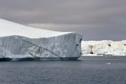 Groenland, cote ouest, baie de Disko, Ilulissat, fjord glacé classé Patrimoine Mondial de l'UNESCO qui est l’embouchure maritime du glacier Sermeq Kujalleq, ancien bateau de pêche reconverti pour la découverte des icebergs et l'observation des baleines