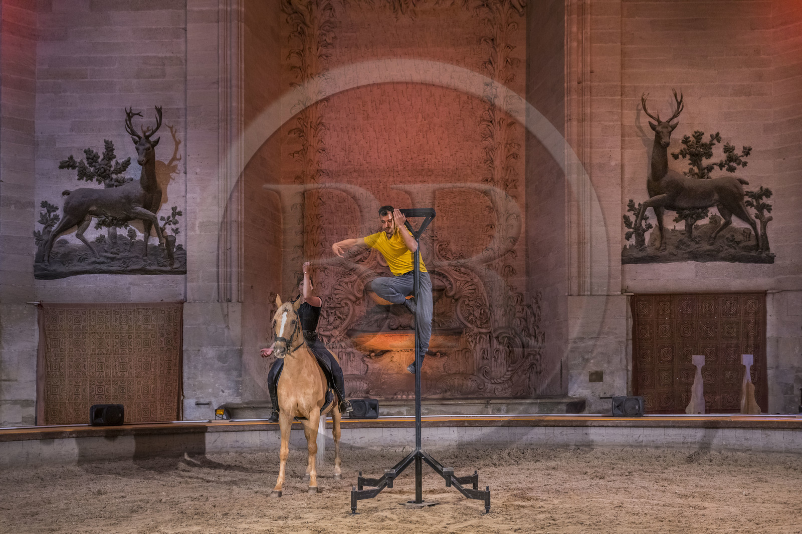 France, Oise (60), Chantilly, le chateau de Chantilly, les Grandes Ecuries, la salle des spectacles équestres sous le dome de l'ancien rendez-vous de chasse à cour, répétition d'un spectacle entre acrobate et cheval France, Oise (60), Chantilly, le chateau de Chantilly, les Grandes Ecuries, la salle des spectacles équestres sous le dome de l'ancien rendez-vous de chasse à cour, répétition d'un spectacle entre acrobate et cheval