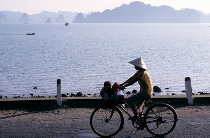Vietnam, Quang Ninh Province, Halong Bay, listed as World Heritage by UNESCO