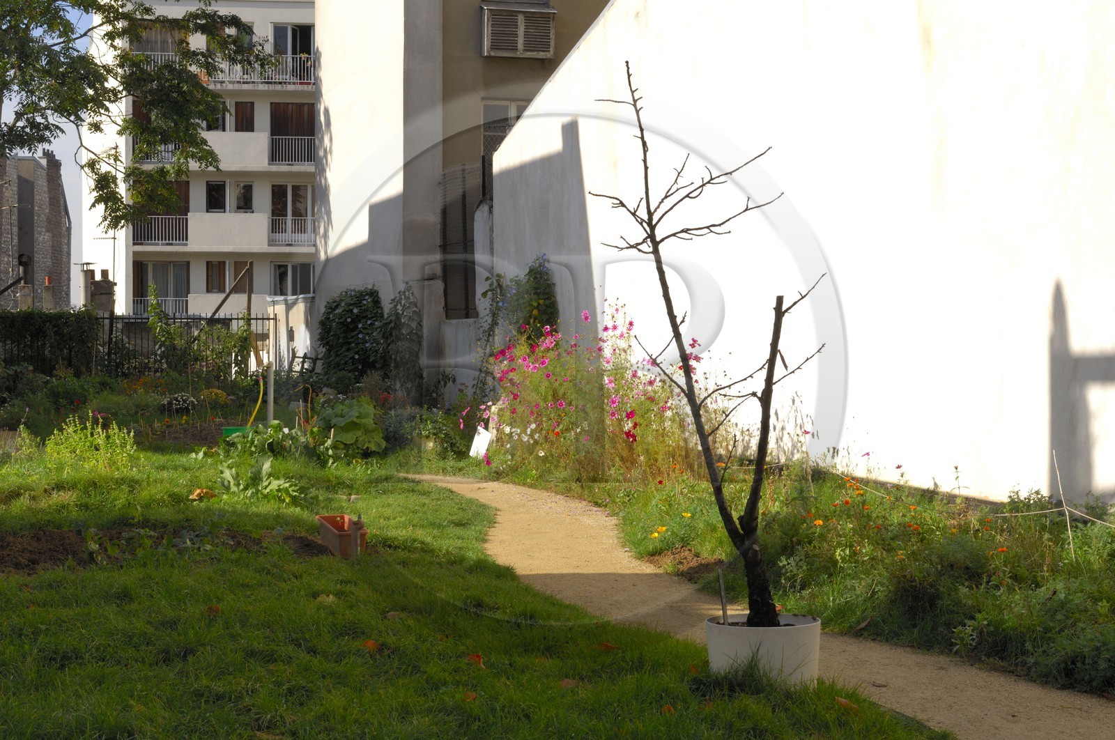 France, Paris (75), passage des Soupirs à Menilmontant, jardin communautaire