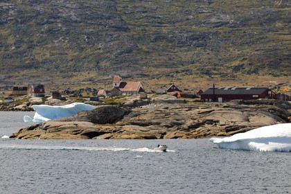Greenland, Nanortalik in the Southern area, motorboat progressing between the icebergs in the bay