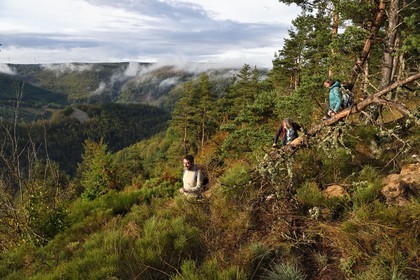 France, Ardeche, parc naturel regional des Monts d'Ardeche (Regional natural reserve of the Mounts of Ardeche), Mezenc Massif, Lac d'Issarles forest, hikers at the top of Montchamp overlooking the Loire Valley