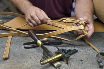 France, Gard, Fourques, saddlery and harness manufacturing in Victor Mailhan's workshop, martingale