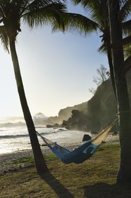 France, Reunion island (French overseas department), Petite-Ile on the southern coast, Grande Anse beach, hammock stretched between two palm trees