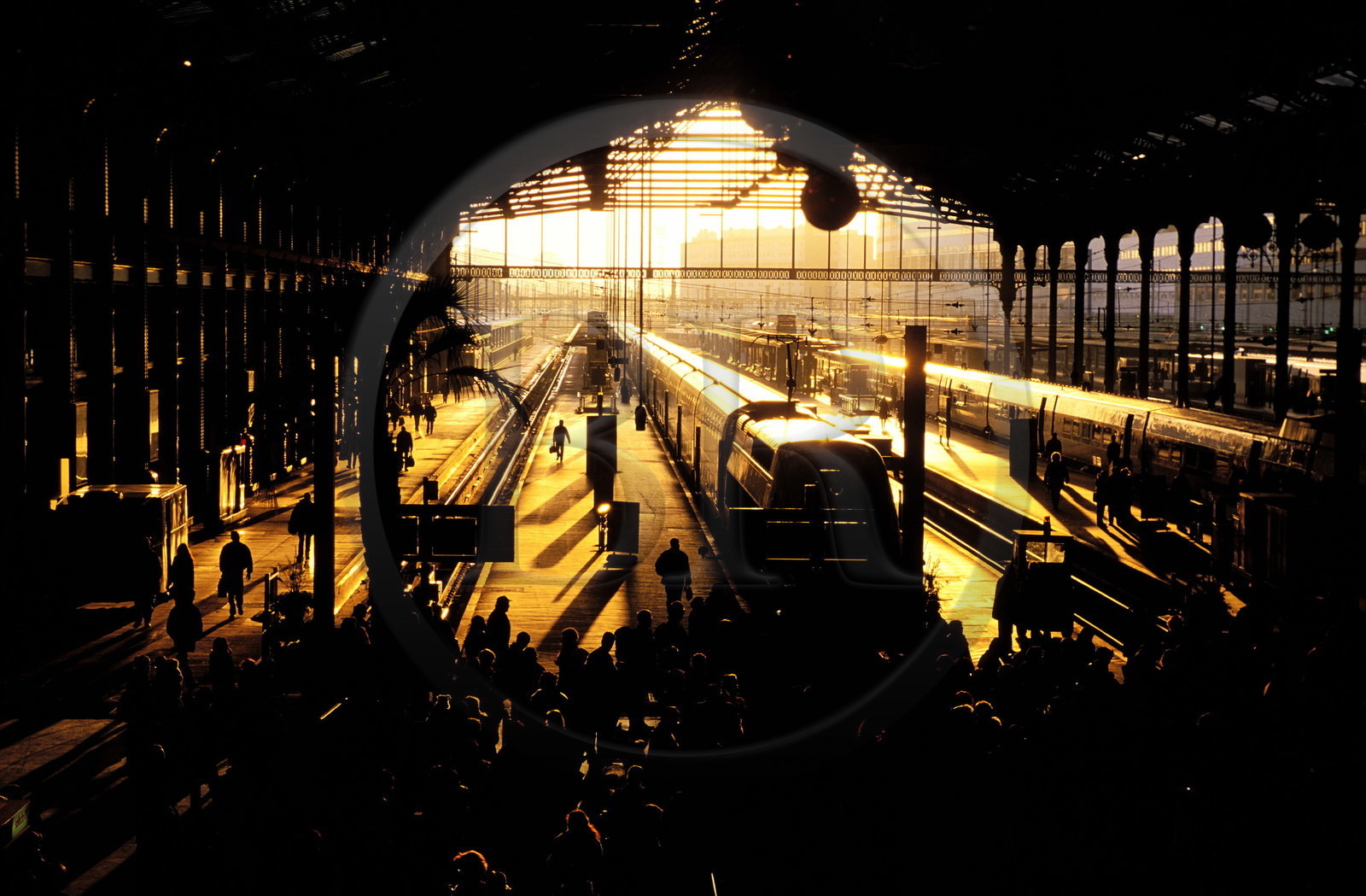 France, Paris (75), gare du Nord, arrivée au petit matin des trains de banlieue
