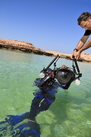Sultanate of Oman, Governorate of Muscat, Nature Reserve of the Daymaniyat Islands, the photographer-diver Maisa Al Hooti