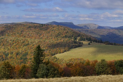 France, Haut-Rhin (68), la route des Crêtes, vue vers le Hohneck à la hauteur du col d'Hahnenbrunnen